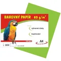 Papier für den Kunstunterricht A4/100/80g hellgrün